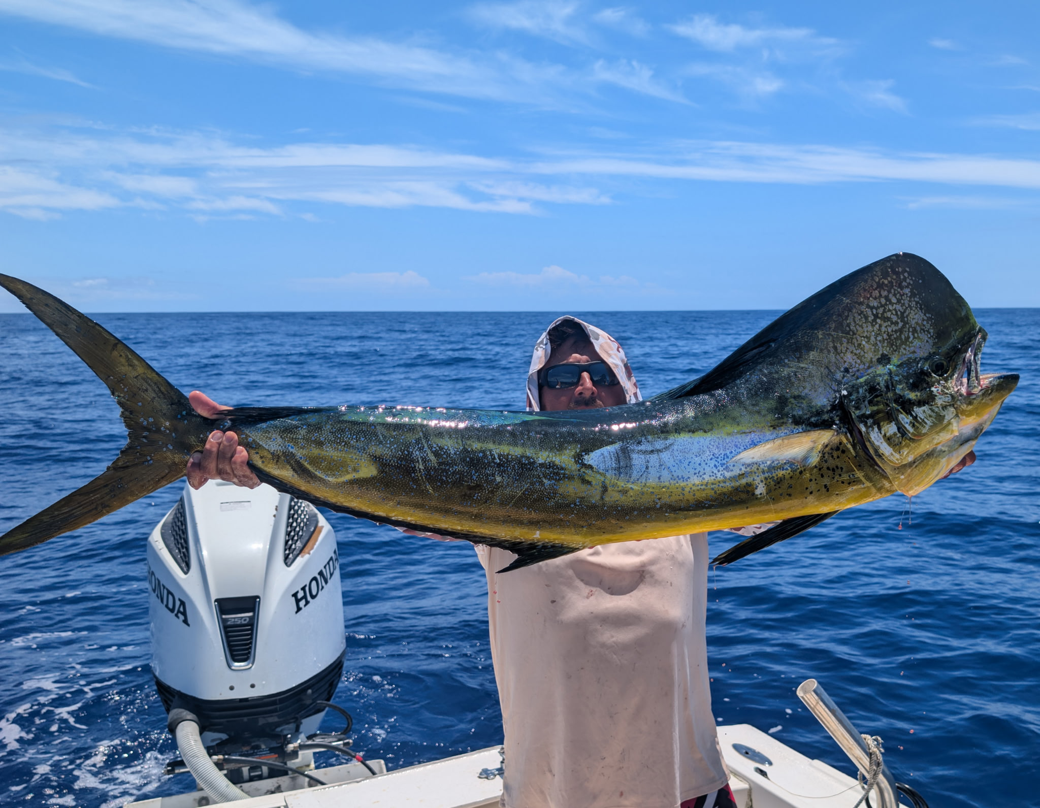 Mahi mahi catch